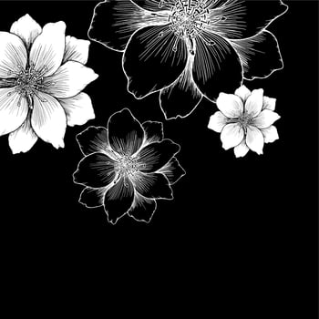 vector drawing and line  flower