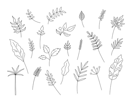 Outline leaves isolated. Vector set of plant decorative elements on white background. Simple hand drawn line objects for floral designs