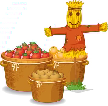 Fresh fruits in basket vector