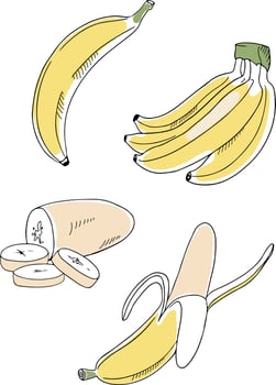 Colorful set of bananas, whole, bunch cut and peeled, isolated on white background. Cartoon hand-drawn style. Vector illustration