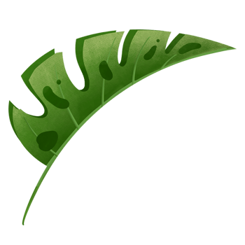 Tropical leaf watercolor illustration png