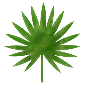 Tropical leaf watercolor illustration png