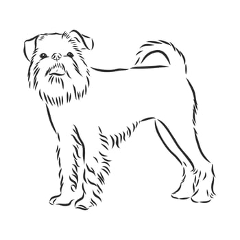 dog vector sketch