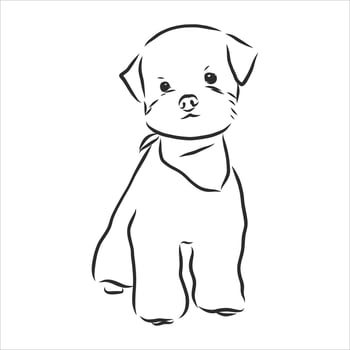 dog vector sketch
