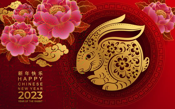 Happy chinese new year 2023 year of the rabbit vector