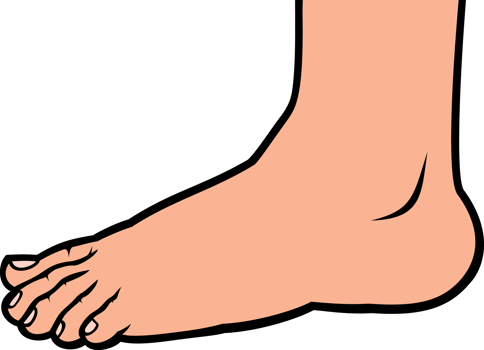 Foot standing png illustration
