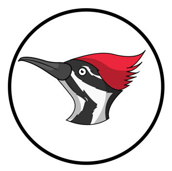 Woodpecker Head Cartoon Character Bird Icon png