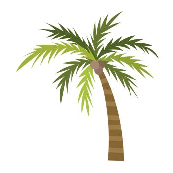 Palm tree cartoon png