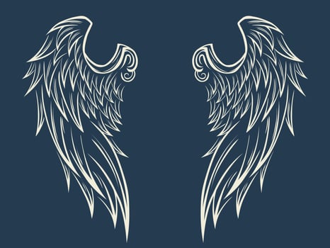 Wings vector design