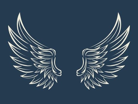 Wings vector design