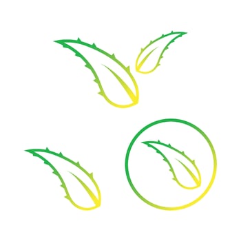 aloe vera logo design icon vector