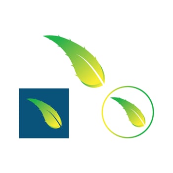 aloe vera logo design icon vector