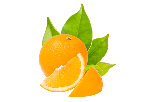 Orange fruit on white background png