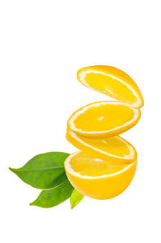 Orange fruit on white background png