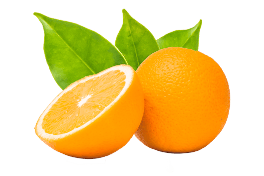 Orange fruit on white background png