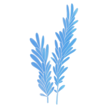 Watercolor Leaf, Blue leaves clipart png