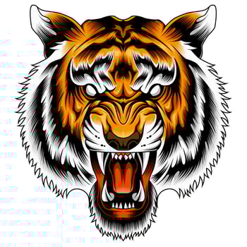 angry tiger face vector illustration