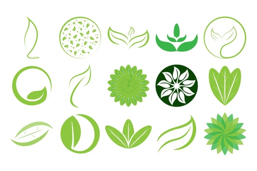 Leaf Logo Icon Design vector