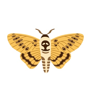 Exotic butterfly, Deaths head hawk moth. Tropical flying insect cartoon vector hand drawn isolated illustration. Stylized mystical design element for print, cover, book, poster, card
