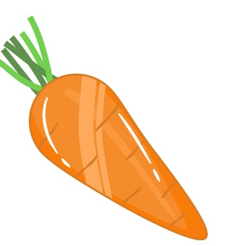 Fresh vegetable orange carrot vector