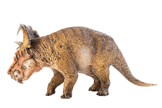 Pachyrhinosaurus  , dinosaur on white background . png