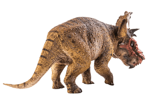 Pachyrhinosaurus  , dinosaur on white background . png