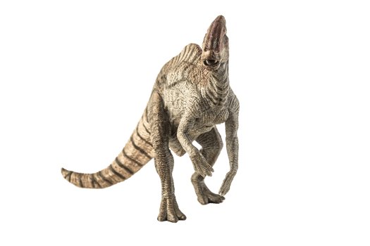 Parasaurolophus Dinosaur on white background png