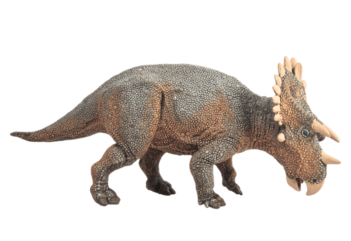 Regaliceratops Dinosaur on white background . png