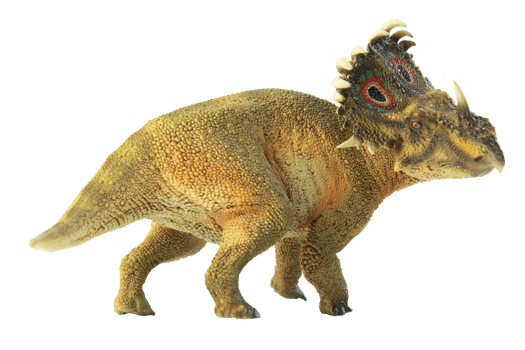 SINOCERATOPS  , dinosaur on white background . png