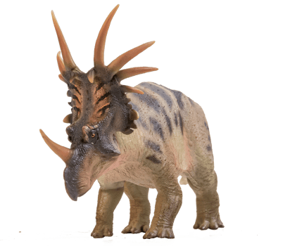 Styracosaurus  Dinosaur on isolate background png