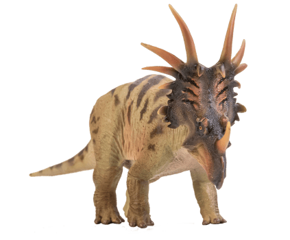 Styracosaurus  Dinosaur on isolate background png