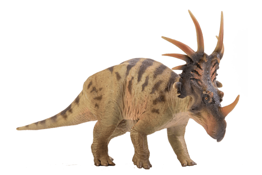Styracosaurus  Dinosaur on isolate background png