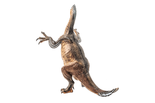 Amargasaurus ,dinosaur on white background png