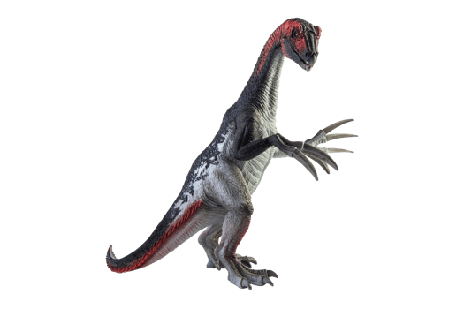 Amargasaurus ,dinosaur on white background png