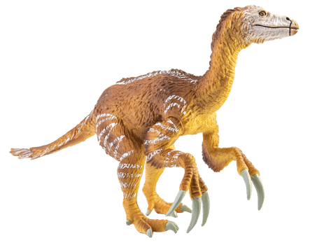 Amargasaurus ,dinosaur on white background png