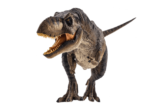 Tyrannosaurus T-rex ,dinosaur on white background png