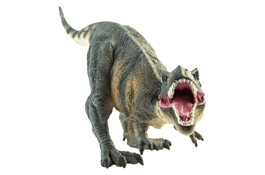 Tyrannosaurus T-rex ,dinosaur on white background png