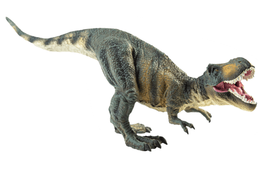 Tyrannosaurus T-rex ,dinosaur on white background png