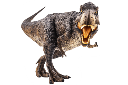 Tyrannosaurus T-rex ,dinosaur on white background png