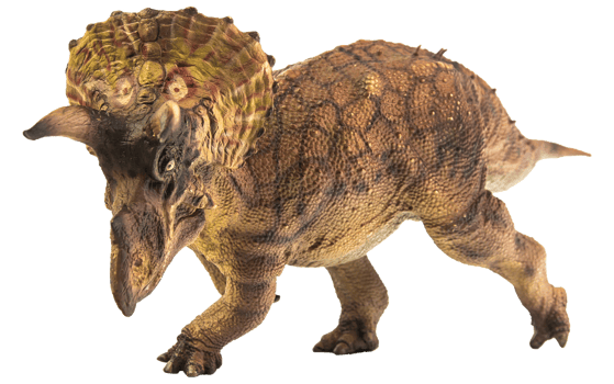 Triceratops  , dinosaur on white  background . Clipping path png