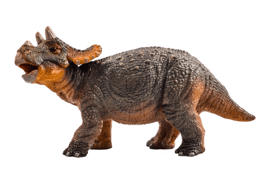Triceratops  , dinosaur on white  background . Clipping path png