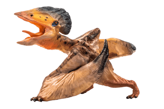 Tupuxuara Pterodactyl Dinosaur on white   background png