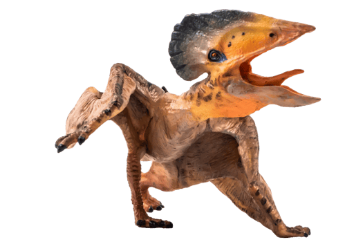 Tupuxuara Pterodactyl Dinosaur on white   background png