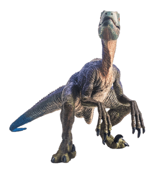 dinosaur , Velociraptor on white background . png