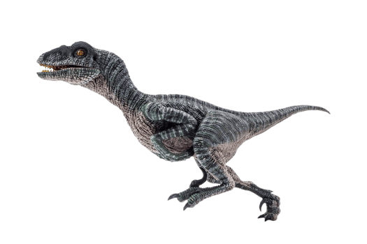 dinosaur , Velociraptor on white background . png