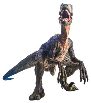 dinosaur , Velociraptor on white background . png