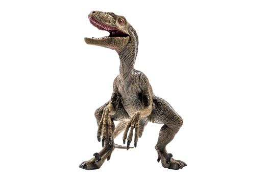 dinosaur , Velociraptor on white background . png