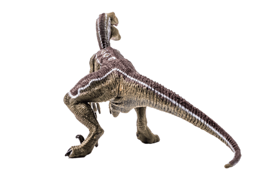 dinosaur , Velociraptor on white background . png