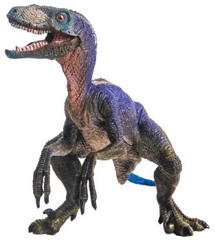 dinosaur , Velociraptor on white background . png