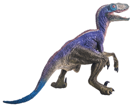 dinosaur , Velociraptor on white background . png